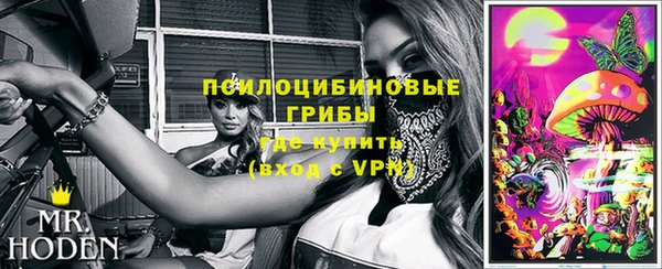 apvp Алзамай