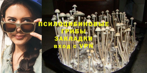 2c-b Абдулино