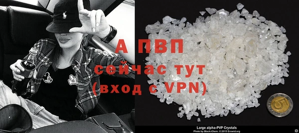apvp Алзамай