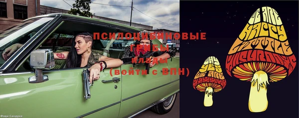 метадон Алексин